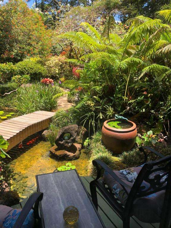Garden with koi pond